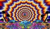Psychedelic High image 9